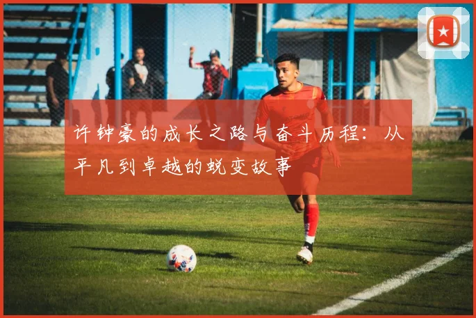 许钟豪的成长之路与奋斗历程：从平凡到卓越的蜕变故事